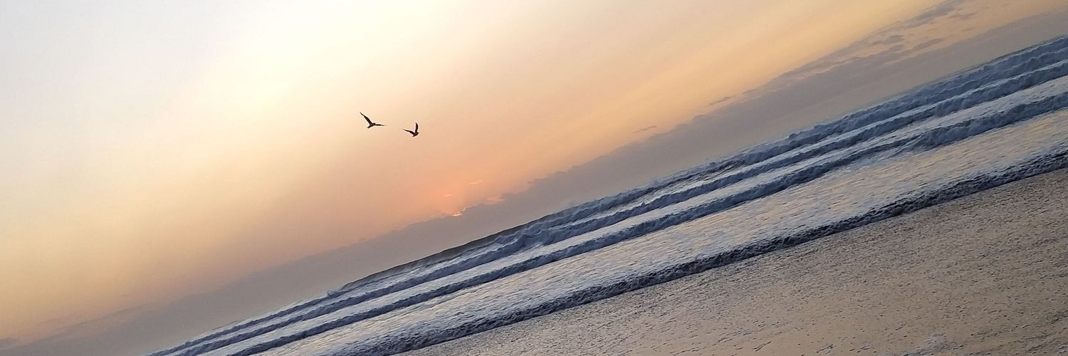 Aguusfer2's profile banner image