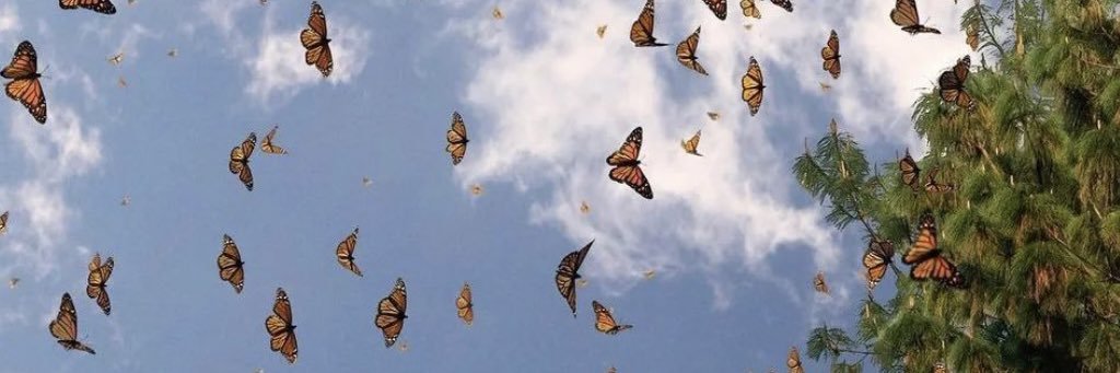 alishaaamg's profile banner image
