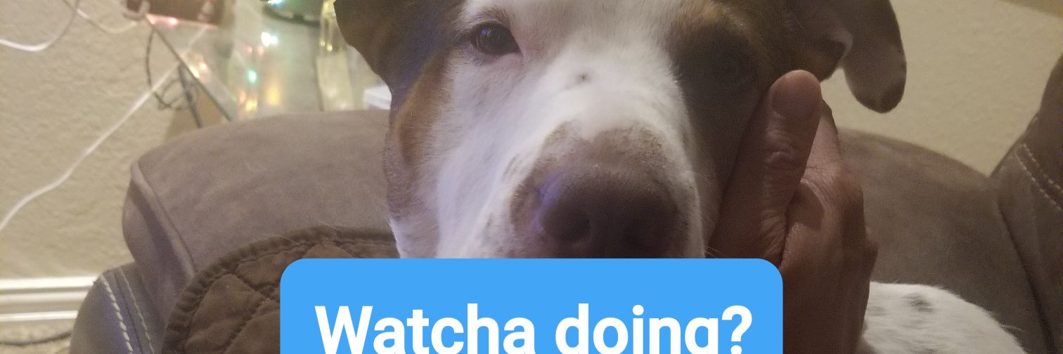 mrdgz2000's profile banner image