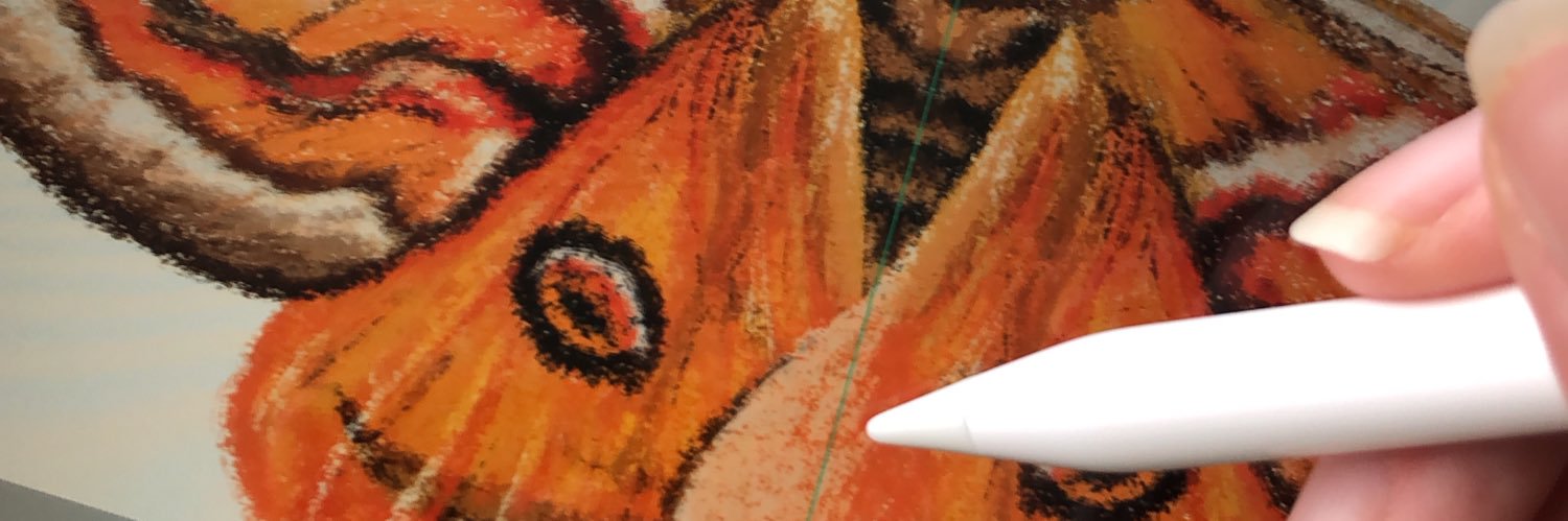 FerneCreative's profile banner image