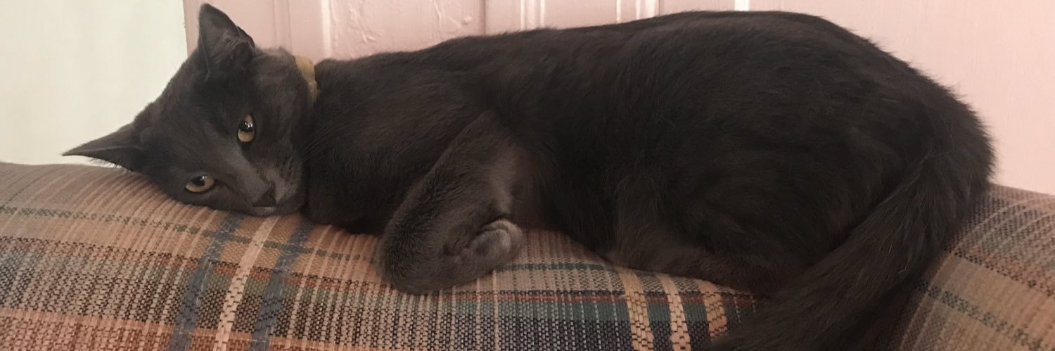 KayeetieCAT's profile banner image