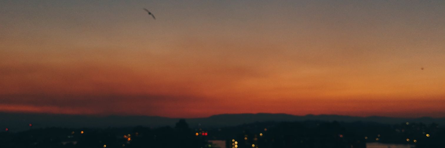 Skipper_36_'s profile banner image