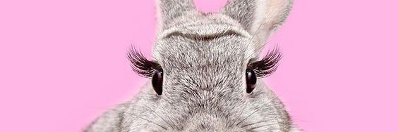 830921's profile banner image