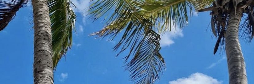 marinacmo's profile banner image