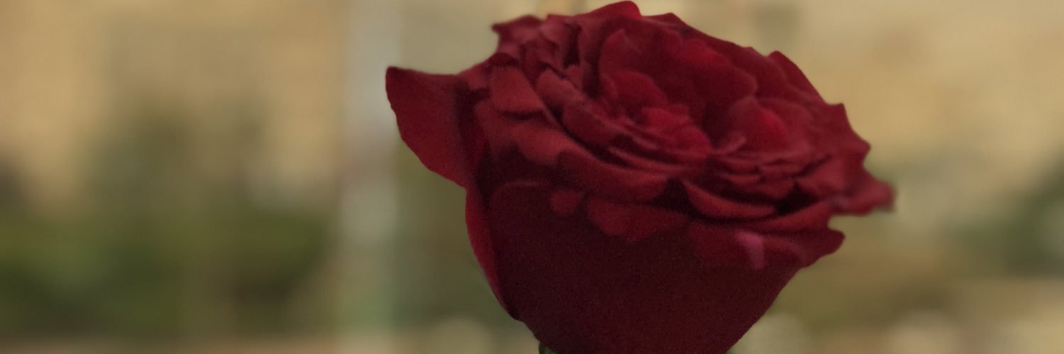 e9pp291's profile banner image