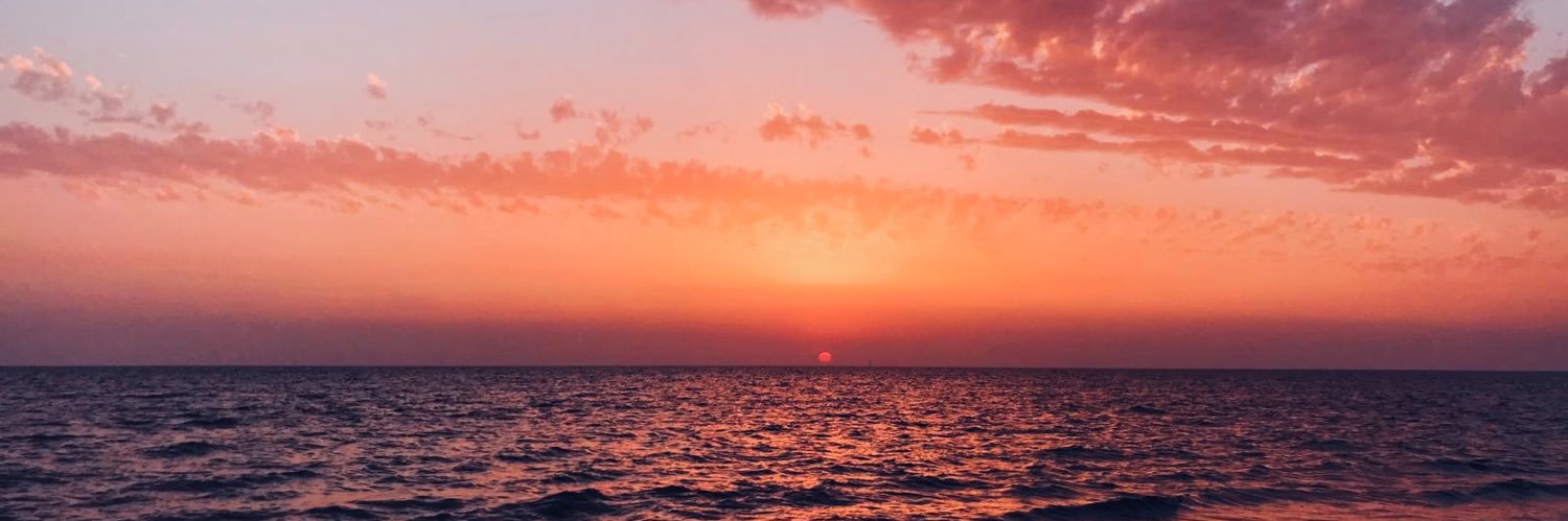 llanosbibi's profile banner image
