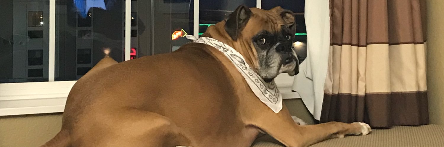 3puttpar_'s profile banner image