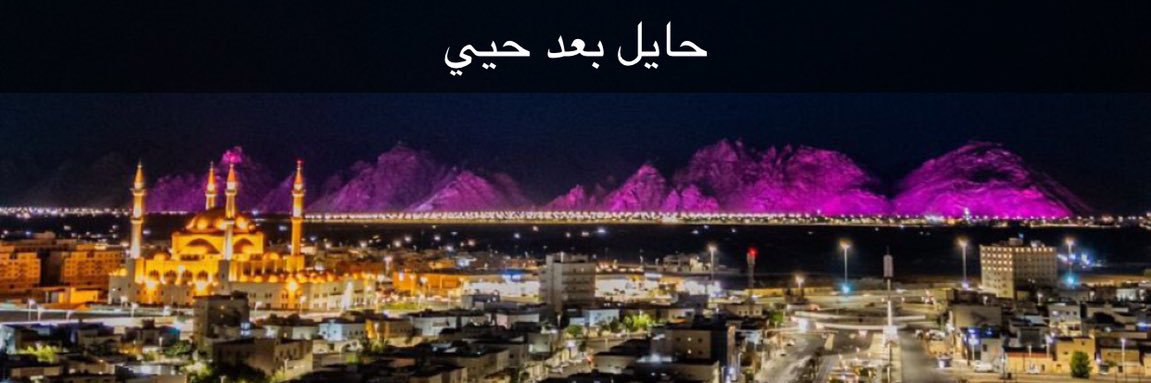 فرحان الظفيري (💛💙) (حايل) banner