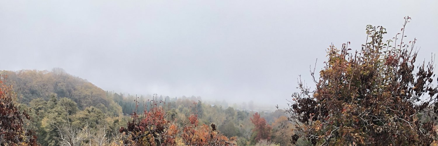 HildaMartinez__'s profile banner image