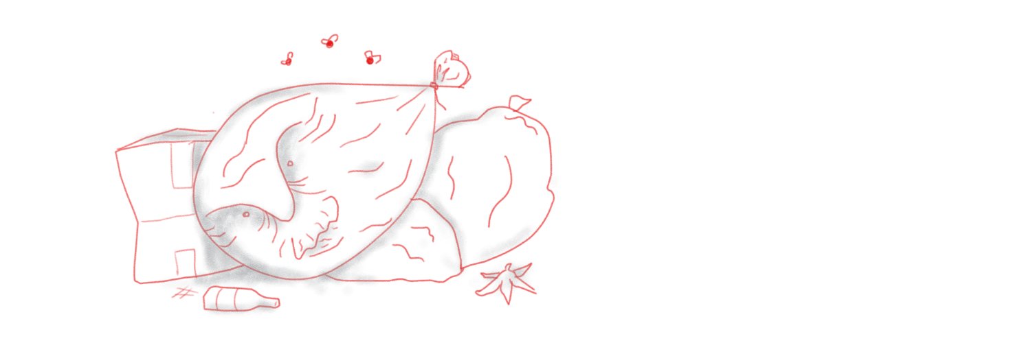 1raoni's profile banner image