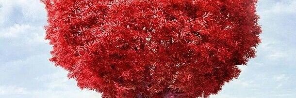 LeviEbel's profile banner image