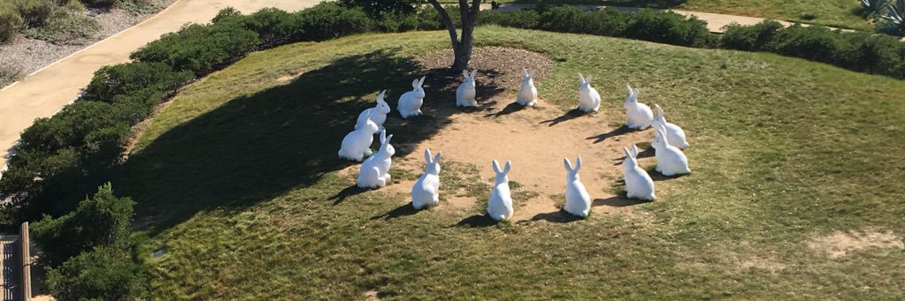 Natasha Gonzales banner