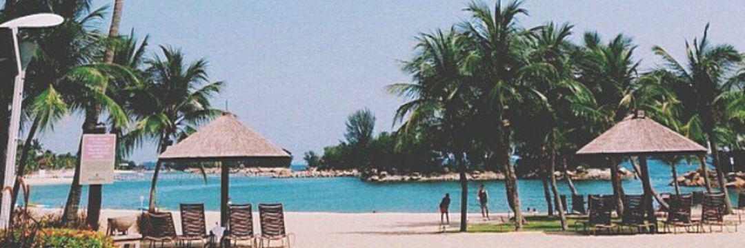 Afrah__a2's profile banner image
