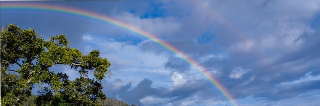 Carrillo__03's profile banner image