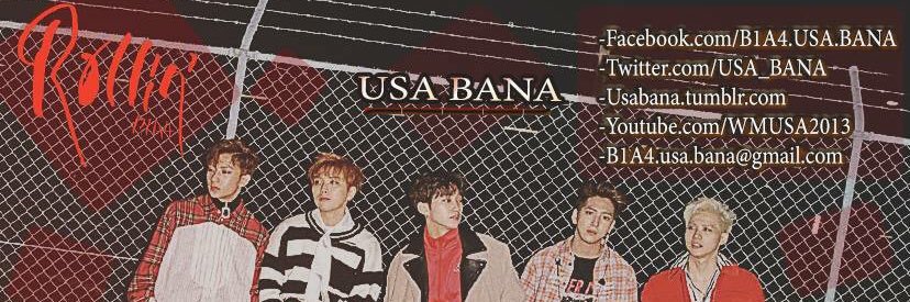 USA BANA banner