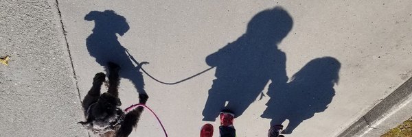 TigFam Profile Banner