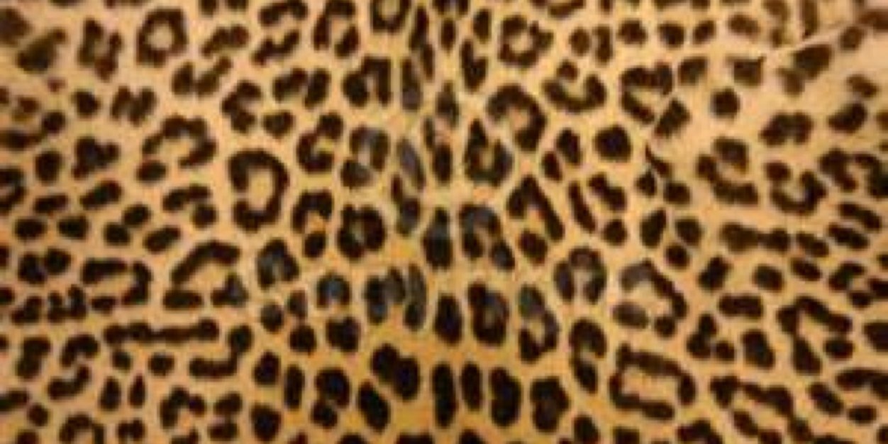 kalesharenee's profile banner image