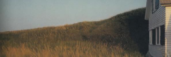 barbabep's profile banner image