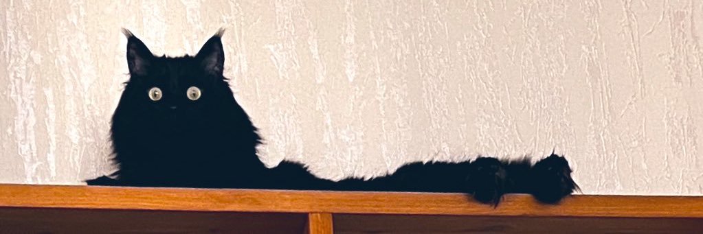 MerveBebek3's profile banner image
