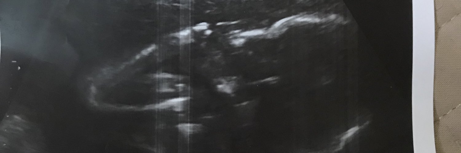 marinasageee's profile banner image