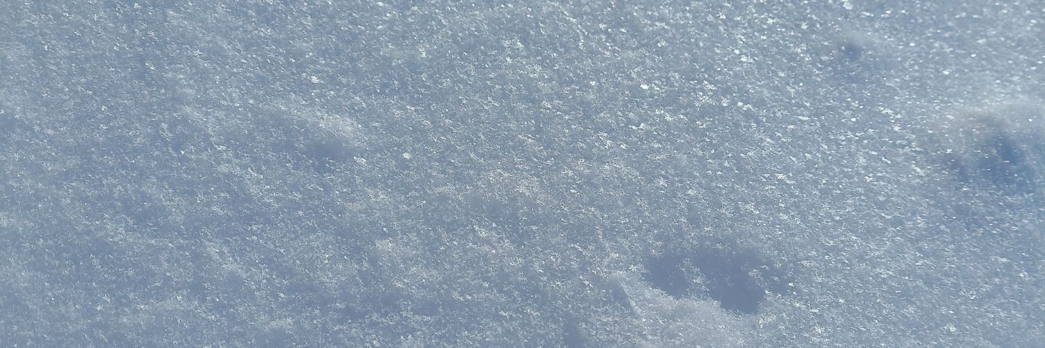 nangokusann's profile banner image