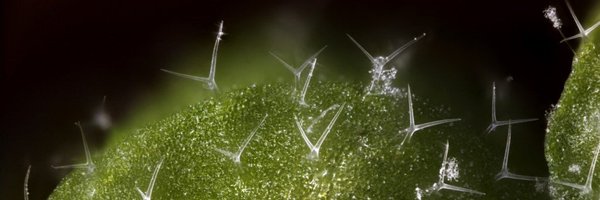 JurriaanTon Profile Banner