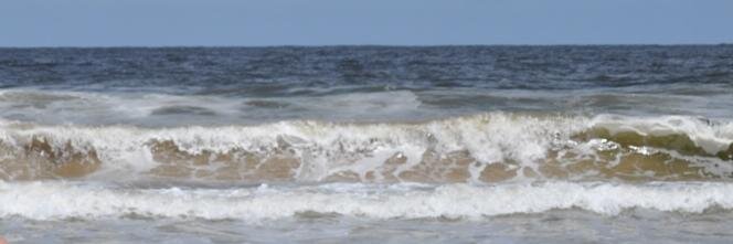 Diego Morales banner