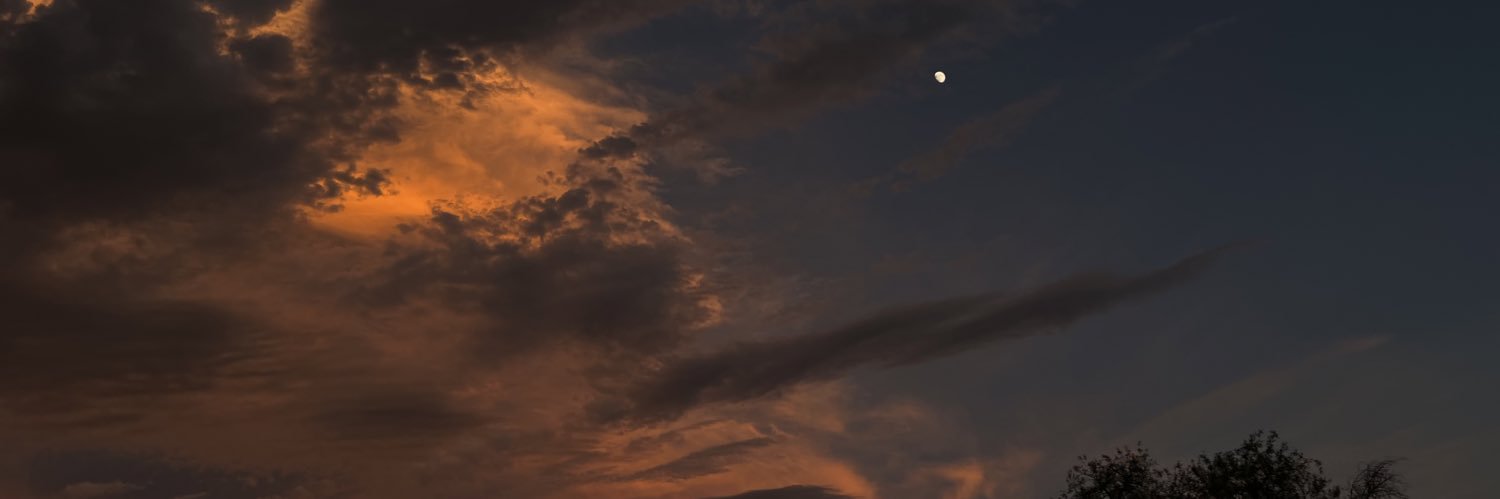 things that tickle me banner