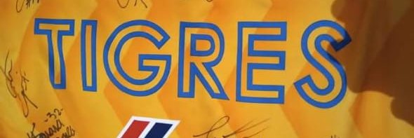 TigreNumerico's profile banner image