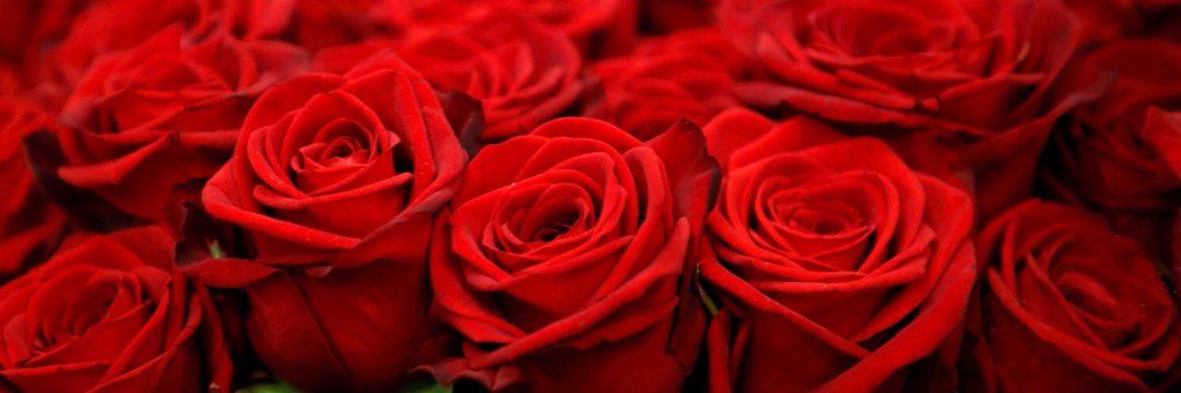 mainuddin663's profile banner image