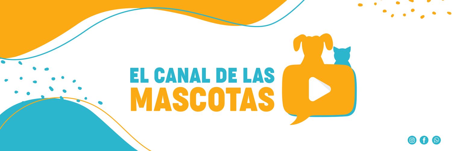 cdmascotas's profile banner image