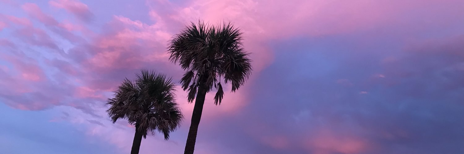 riileyburnss's profile banner image