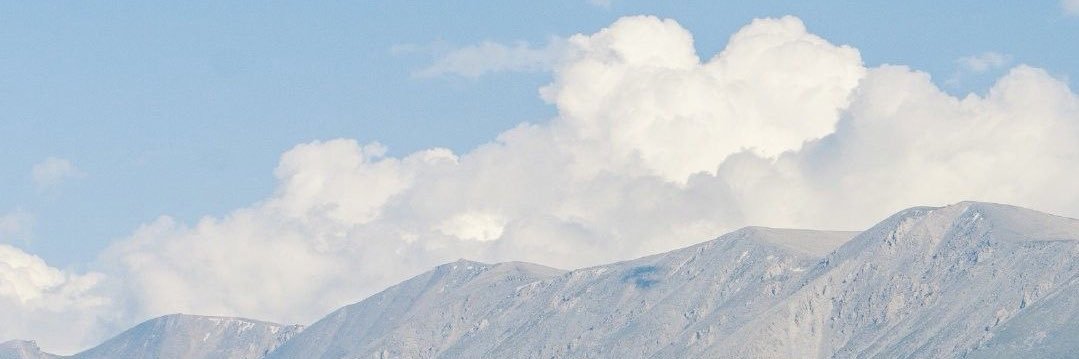 _ohsebeep's profile banner image