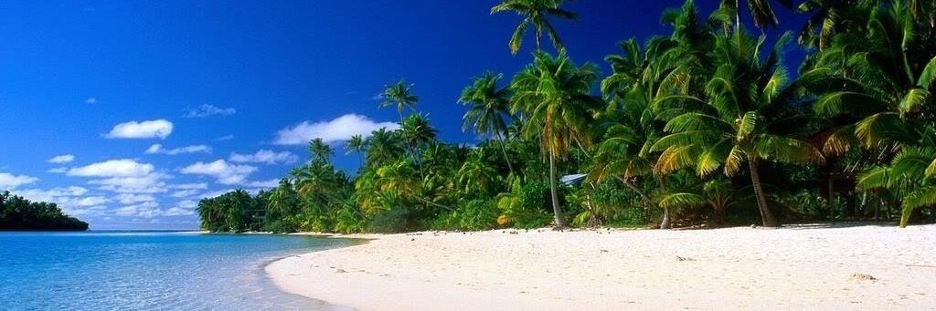 dansusita's profile banner image