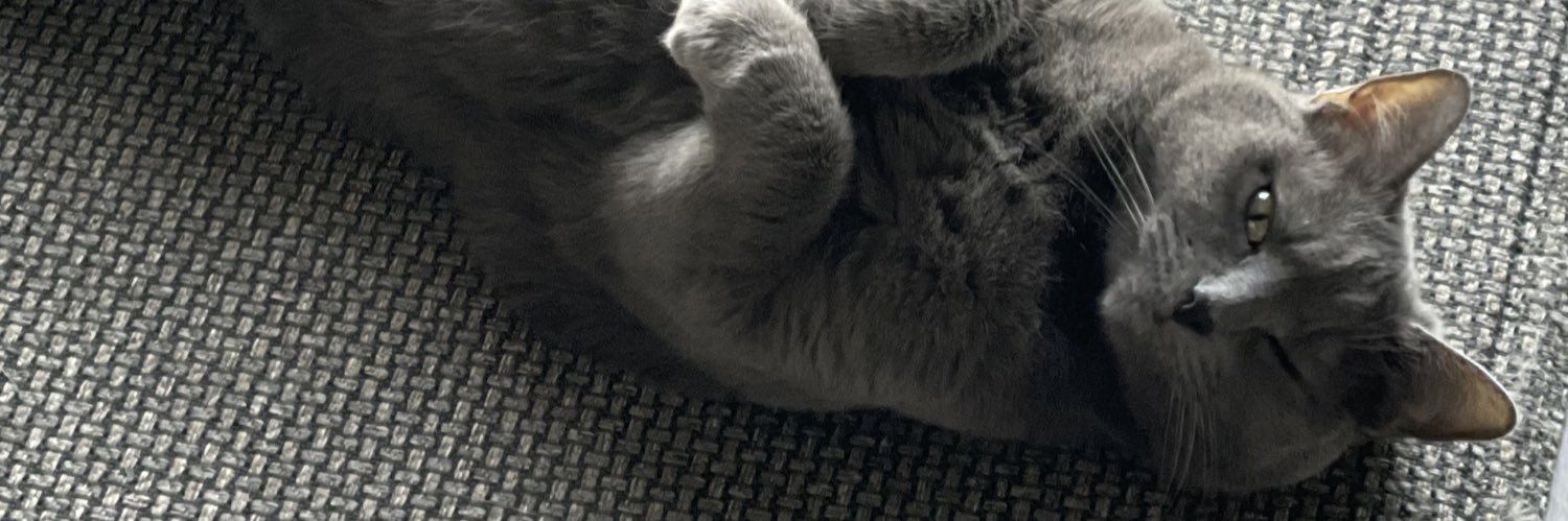 shellfrick's profile banner image