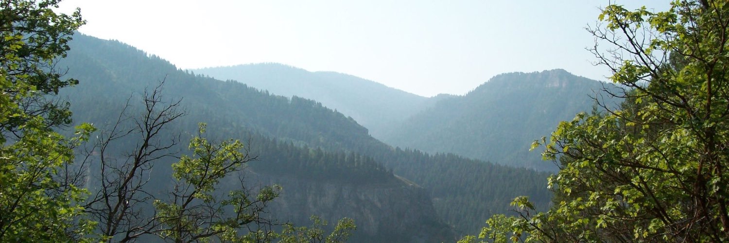 I_MacFarlane's profile banner image