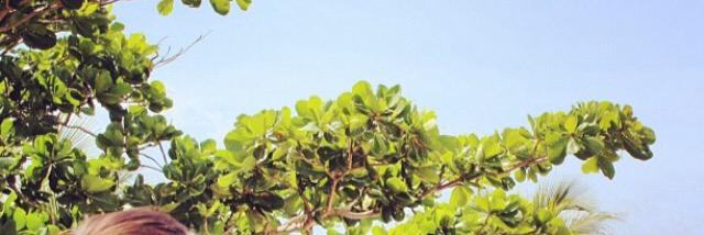 106_olaw's profile banner image