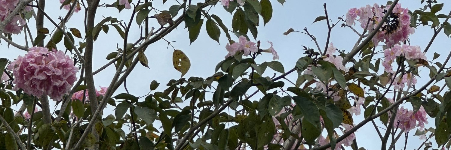 pepperaceae's profile banner image