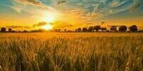 yahb1386's profile banner image
