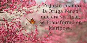 lisbeth_giron's profile banner image