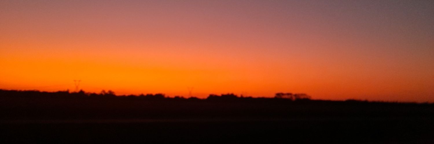 simpsonx_'s profile banner image
