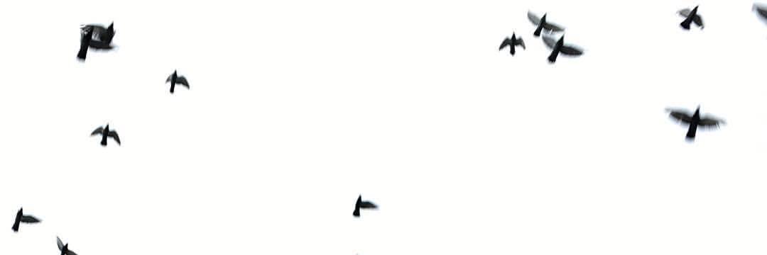 manuelljb's profile banner image