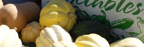 HaltonFreshFood's profile banner image