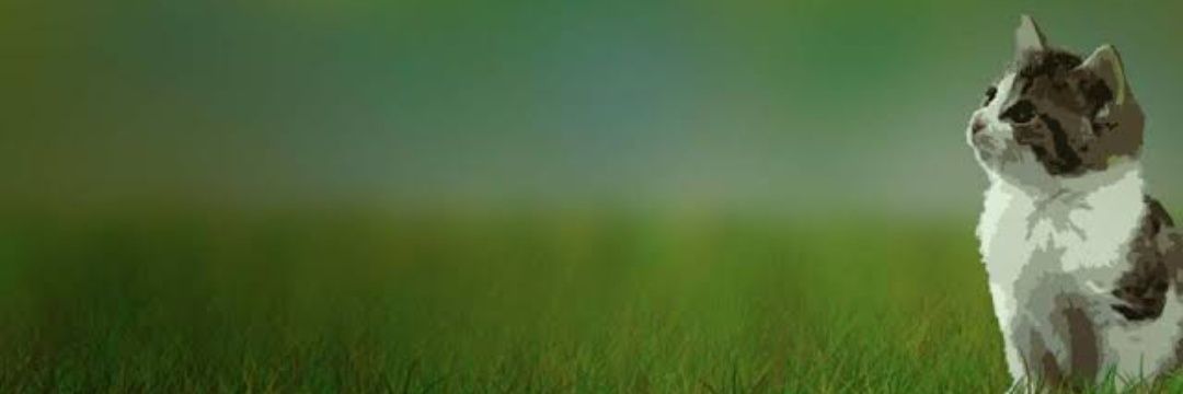 MFAS24's profile banner image
