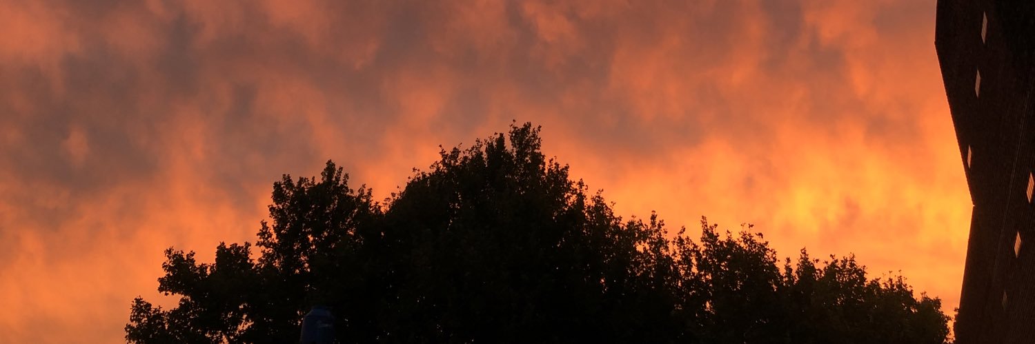BorgiaAmarillo's profile banner image