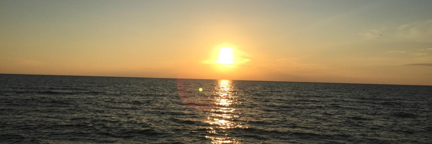 PSerksnas's profile banner image