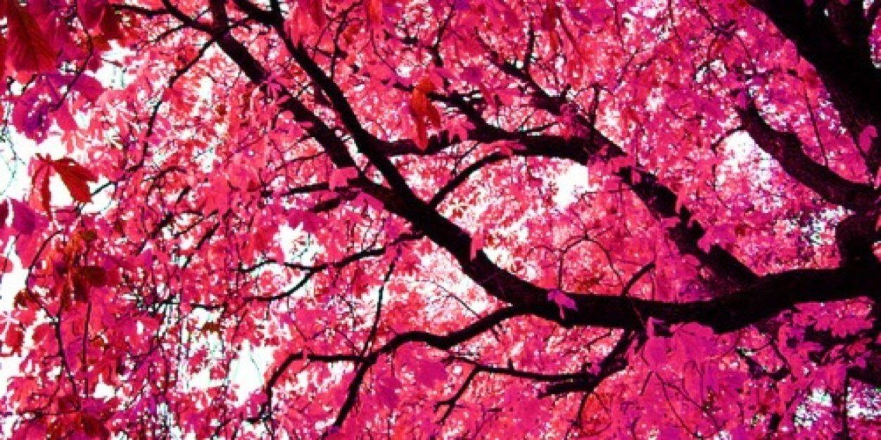 AriMakeItShine's profile banner image