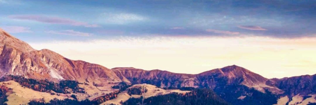 ZanderFourie2's profile banner image