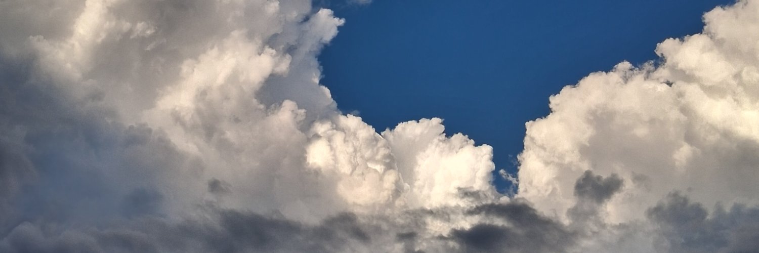 Faith_Lynn5's profile banner image