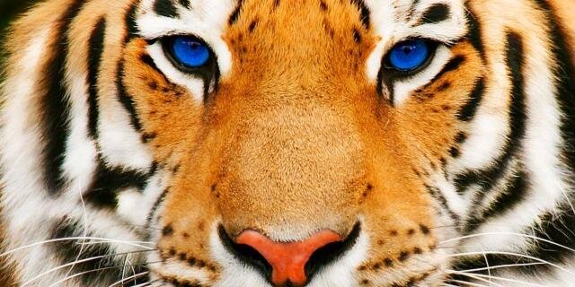DrewFairley's profile banner image